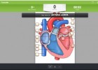 Estructura del corazón | Recurso educativo 776191