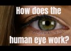 How does the human eye work? | Recurso educativo 784600