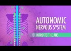 Sistema nervioso | Recurso educativo 788220