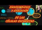 La teoria endosimbiòtica | Recurso educativo 789903