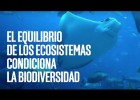 La biodiversitat i l'equilibri dels ecosistemes | Recurso educativo 789921
