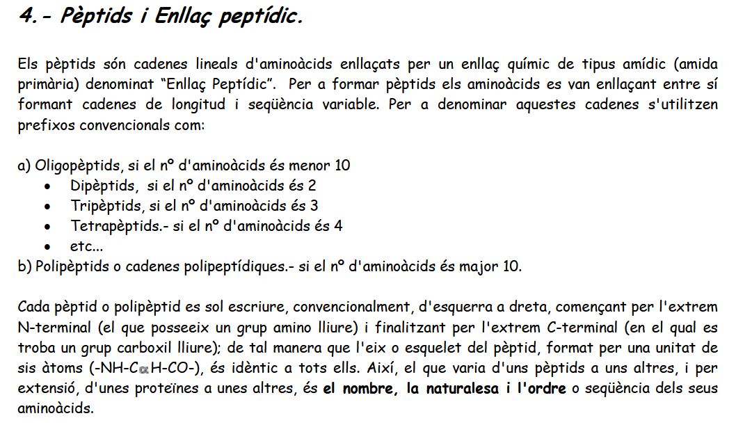 Enllaç peptídic | Recurso educativo 48783