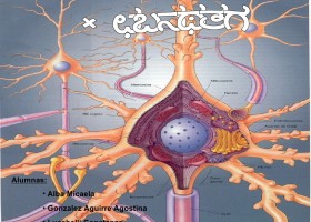 Neurotransmisores Alba, Gonzalez, Lucchelli | Recurso educativo 95370