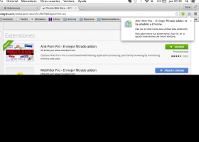 10. Aparece el ícono de ANTI porn en la barra superior derecha del navegador | Recurso educativo 732177