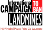 International Campaign to Ban Landmines | Recurso educativo 732876