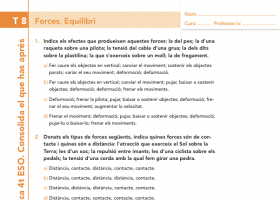 Forces i equilibri | Recurso educativo 744560