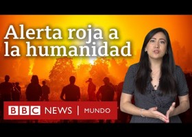 5 revelaciones del informe de la ONU sobre cambio climático y qué dice | Recurso educativo 7903612